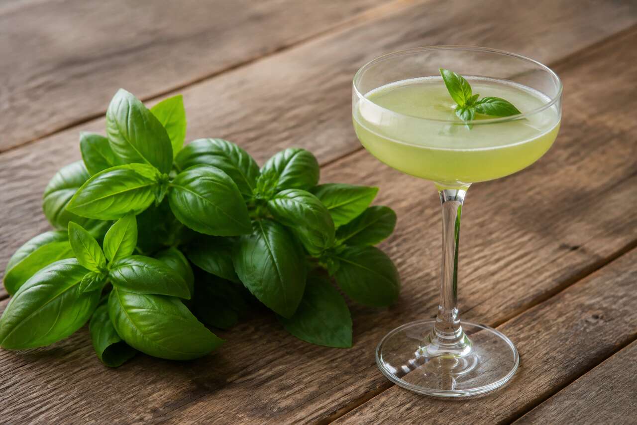Le basilic dans les cocktails : un ingrédient phare à découvrir